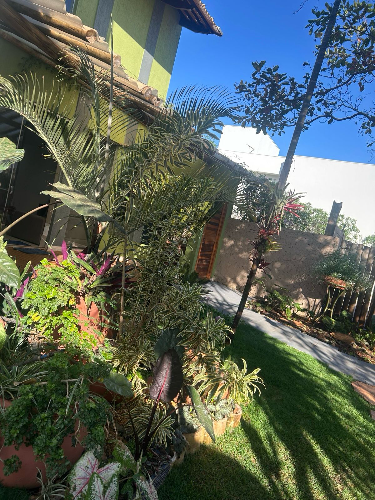 Entrada externa com plantas do Espaco Erika Espindola